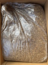 Dried Mealworms For Birds