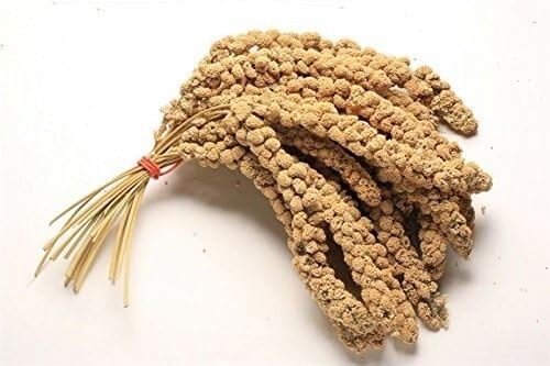 1kg yellow millet spray seeds - millet,