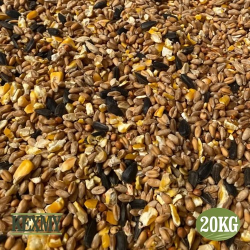Wild bird seed - bird, mixture
