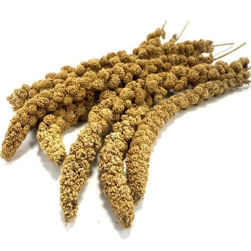 Millet sprays 100g 250g - millet,