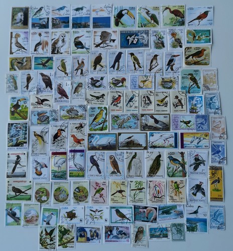 Birds stamps collection 100 - stamps,