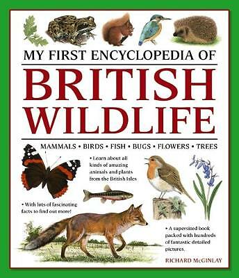 First encyclopedia of - encyclopedia,