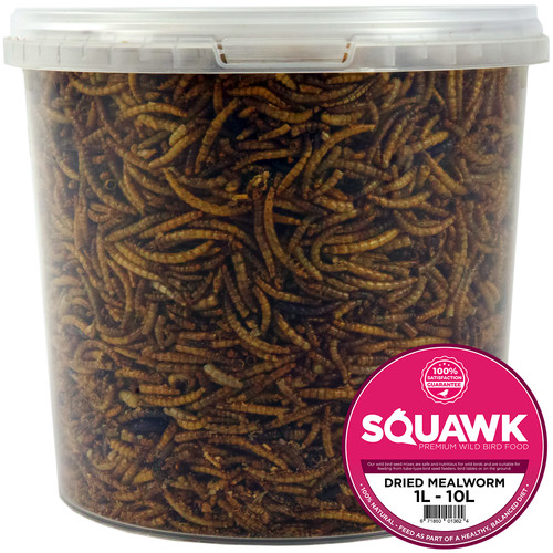 Squawk dried mealworms - squawk,