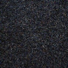 Niger Nyger Nyjer Seeds Wild