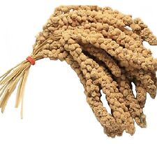 MILLET SPRAY 8-10" caged