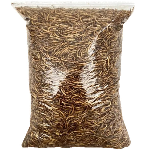 Dried mealworms 50g - 250g, 500g