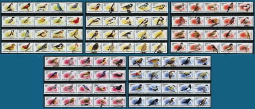 Birds the world - the,