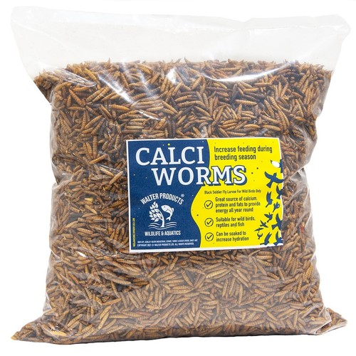 Walter products calci - walter,