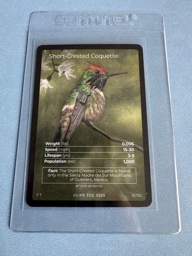 Life tcg birds - life, (full