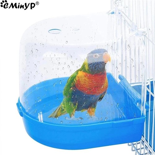 Classic caged bird bath - bird, aviary