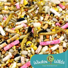 Deluxe Wild Bird Seed. Suet