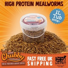 Premium Chubby Dried Mealworms
