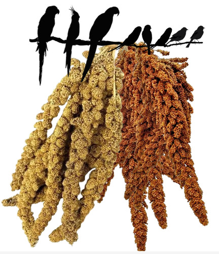 Premium yellow red millet - premium,
