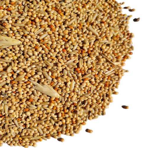 Budgie seed 350g - seed, 2.5kg