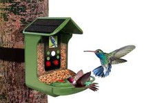 Solar Bird Feeder Camera