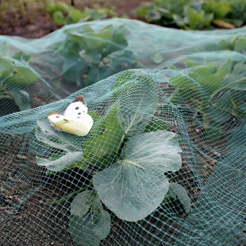Butterfly garden netting stop - netting,