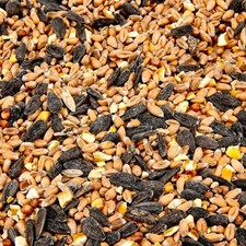 Wild Bird Food Seed - High