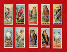 BIRDS ~ SET OF 10 VICTORIA