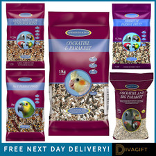 COCKATIEL PARAKEET PARROT