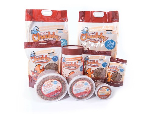 Chubby dried mealworms wild - dried,