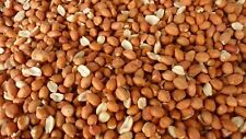 Wild Bird Whole Peanuts -