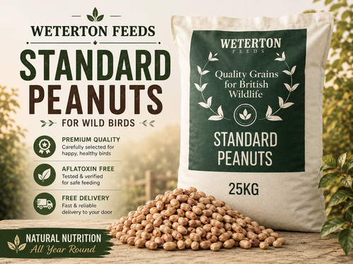Peanuts 25kg wild - , birds