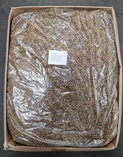Dried calciworms for birds - dried,