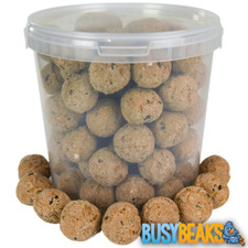BusyBeaks Suet Fat Balls -
